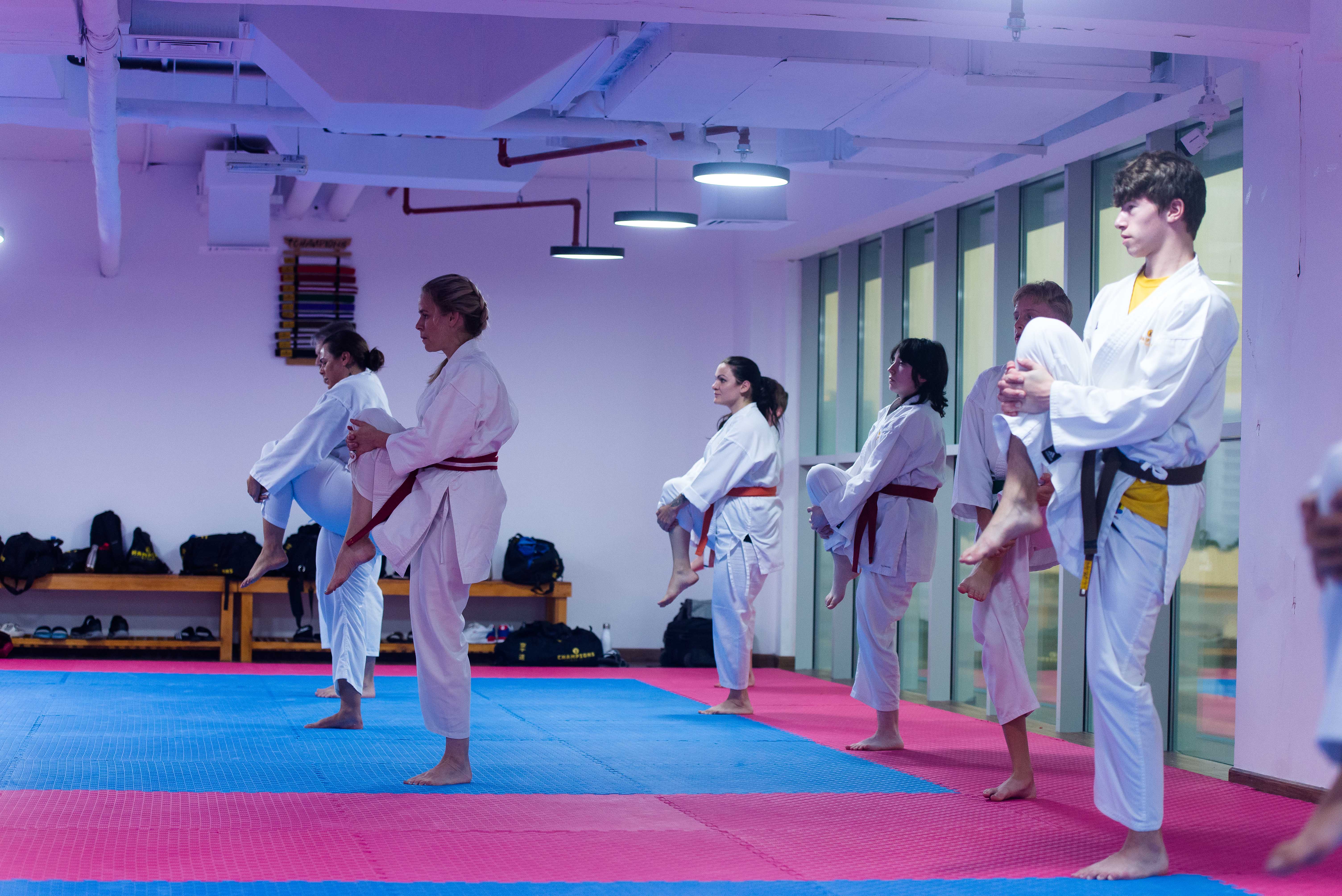 Karate: The Pursuit Of Excellence : Thompson, Jeoff